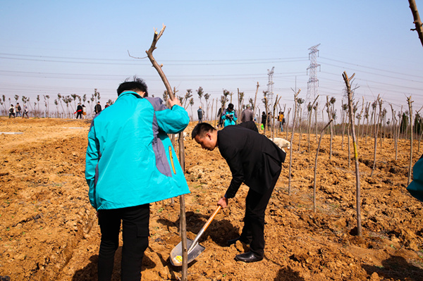 “攜手植樹(shù)，共創(chuàng)藍(lán)天”丨南京新華師生共筑新華育才林