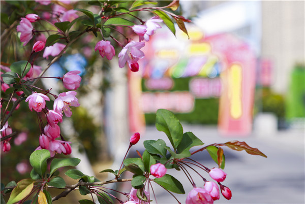 校園開放日初體驗，帶你走進(jìn)南新，走進(jìn)互聯(lián)網(wǎng)