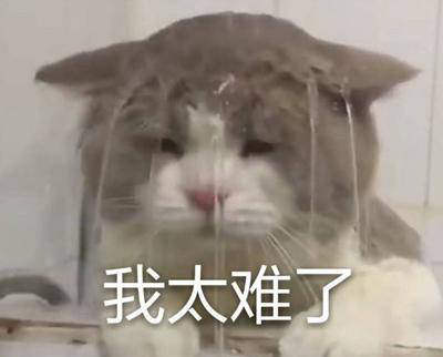 勁爆！新華電腦教育服務(wù)旗艦店正式入駐天貓，課程1折秒殺！