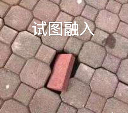 新華互聯(lián)網(wǎng)科技正式入駐Bilibili！會摩擦出什么樣火花呢？